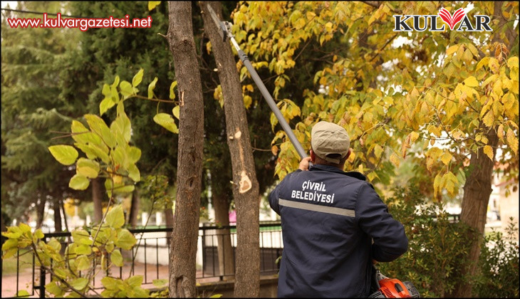Çivril Belediyesi budamayla hem tehlikeyi önlüyor hem de ağaçların ömrünü uzatıyor