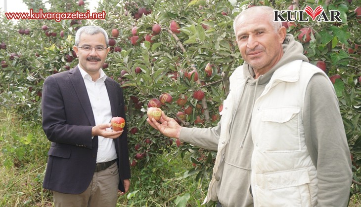Çivril elması Cumhurbaşkanı Erdoğan'a hediye edildi