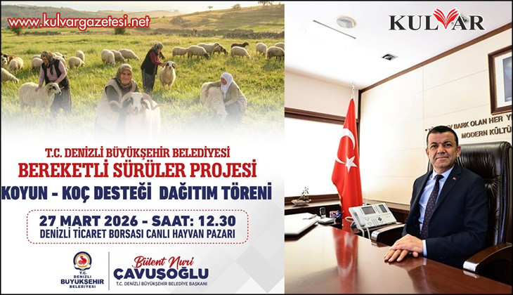 Denizli Büyükşehir, 582 üreticiye 1200 adet koyun-koç dağıtacak 
