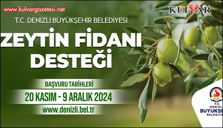 Denizli Büyükşehir çiftçilere 50 bin zeytin fidanı dağıtacak