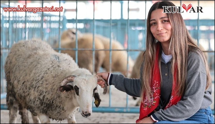 Denizli Büyükşehirden üreticiye "Bereketli" destek