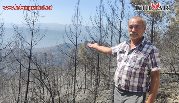  Denizli - Muğla sınırında çıkan yangında 100 hektar alan siyaha büründü