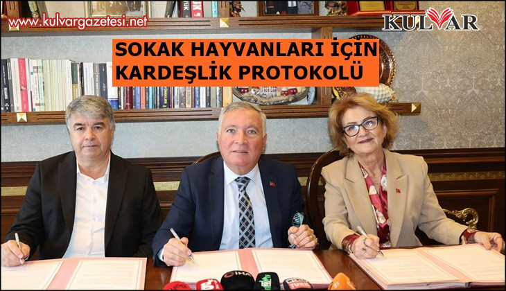 Denizli'de 3 belediye 2 bin sokak hayvanı için 30 bin dönümlük yuva kuruyor