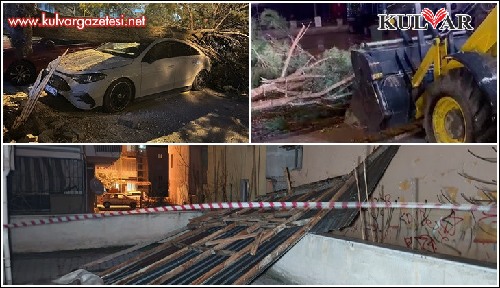Denizli’de fırtına ağaçları devirdi, çatıları uçurdu