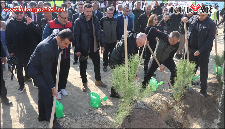 Denizli'de Milli Ağaçlandırma Gününde 5 bin 916 fidan toprakla buluştu