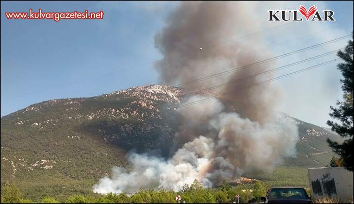 Denizli'de orman yangını