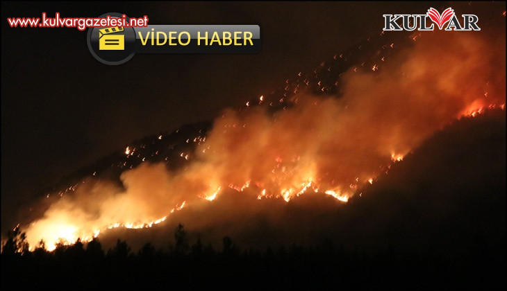 Denizli’de orman yangınına gece karadan müdahale sürüyor