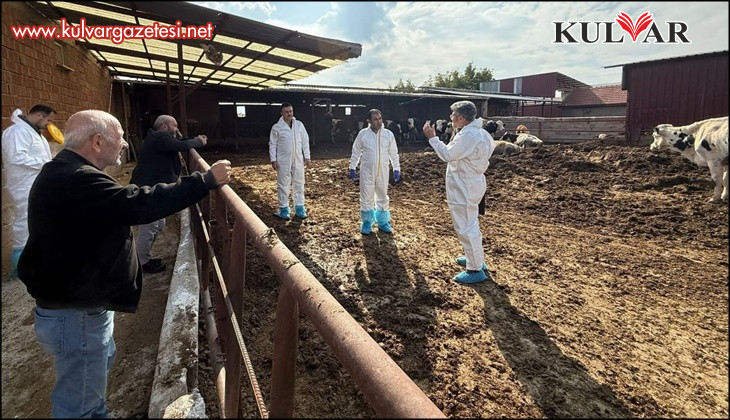 Denizli’de şap hastalığına karşı tedbirler arttırıldı