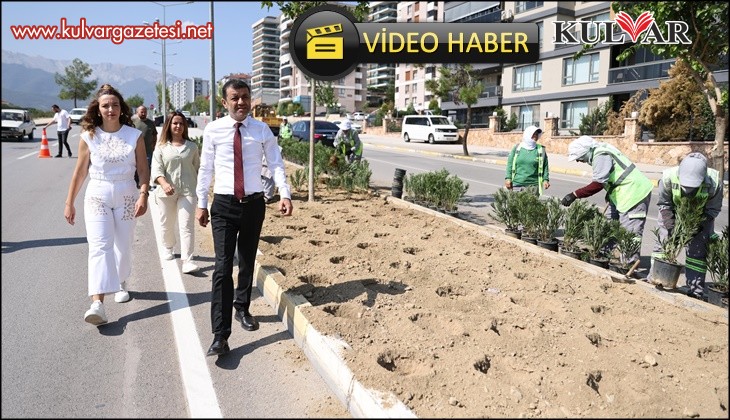 Denizli’de susuzluğa dayanıklı yeşil bitki dönemi başlıyor