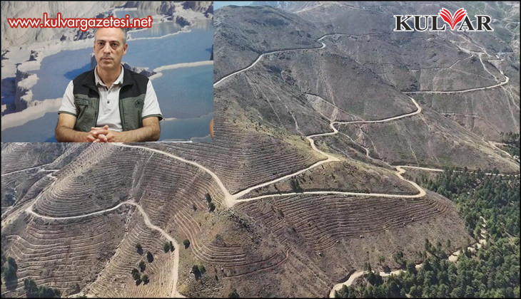 Denizli'de yanan 4 bin 108 hektar orman sahasında 2,5 milyon fidan yeşerecek