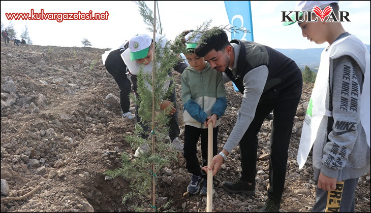 Denizli'de yanan alanlarda binlerce fidan toprakla buluştu