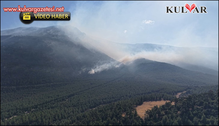 Denizli'de yanan orman sahası havadan görüntülendi