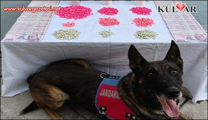 Denizli’de zehir tacirlerine operasyon düzenlendi