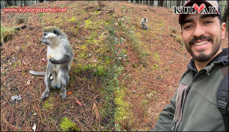 Denizli'deki firari maymunların sırrı çözüldü