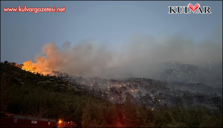 Denizli'deki orman yangını kontrol altına alındı