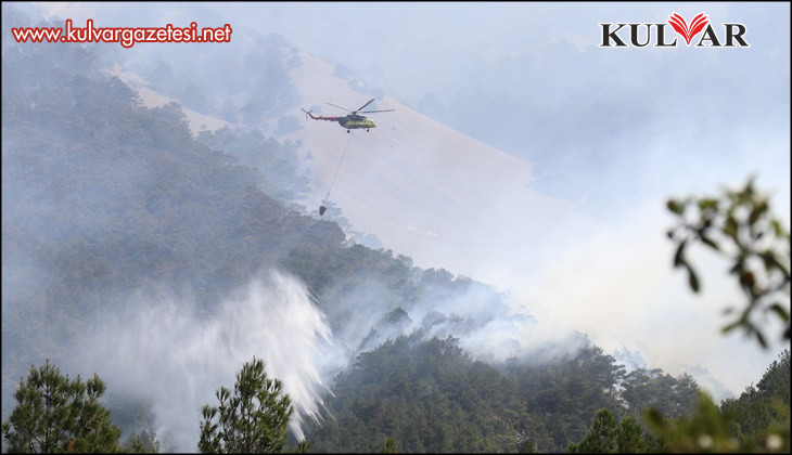 Denizli'deki orman yangınında soğutma çalışmaları devam ediyor