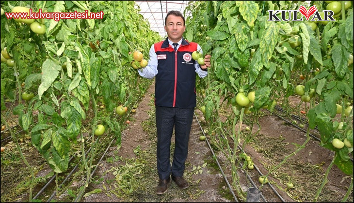 Denizli’nin 2025 bitkisel üretim tablosu yüz güldürdü