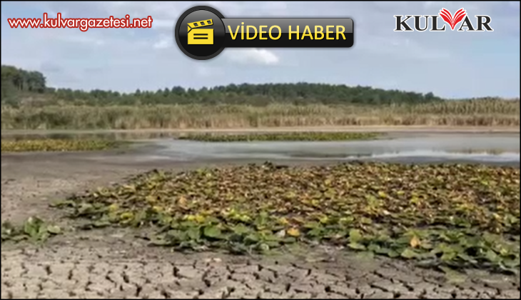 Doğa harikası Süleymanlı Yayla Gölü'nün nilüferleri balçığa saplandı