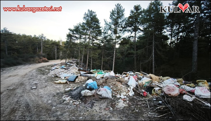 Doğanın kalbine çöp doldurdular