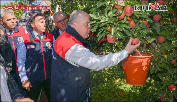 Ege'nin elma deposu Denizli'de üreticinin yüzü gülüyor