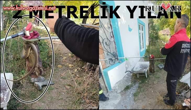 Eve giren yılan paniğe neden oldu