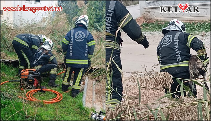 Fosseptik çukuruna düşen köpek kurtarıldı
