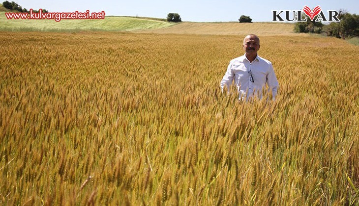 Hatipoğlu, ‘Önlem alınmazsa çiftçi buğday üretiminden vazgeçebilir’