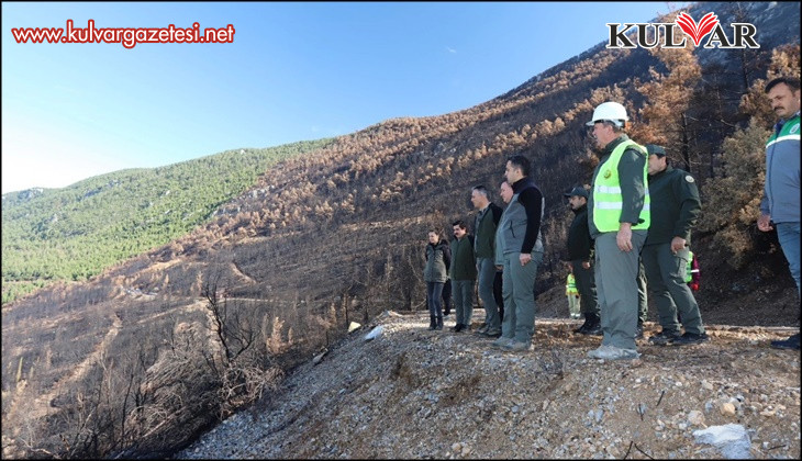 Honaz Dağı Milli Parkında yanan alanlar yeşillendiriliyor