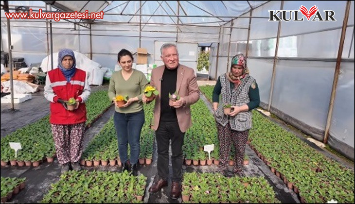 Honaz'da 8 Mart'a özel 8 bin çiçek kadınlara dağıtılacak