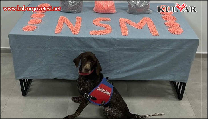 Jandarma KOM'un başarılı operasyonunda 28 bin adet uyuşturucu hap ele geçirildi