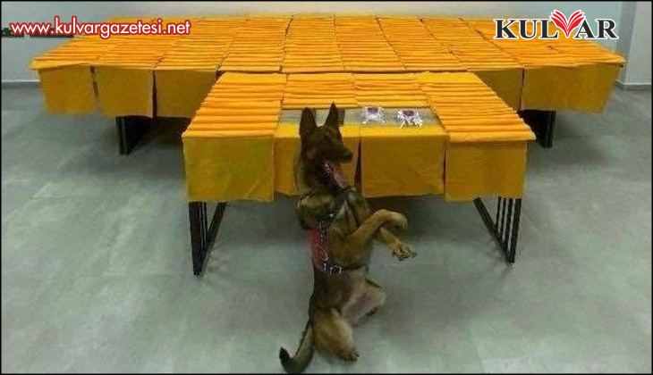 Jandarma uyuşturucu piyasaya sürülemeden yakaladı