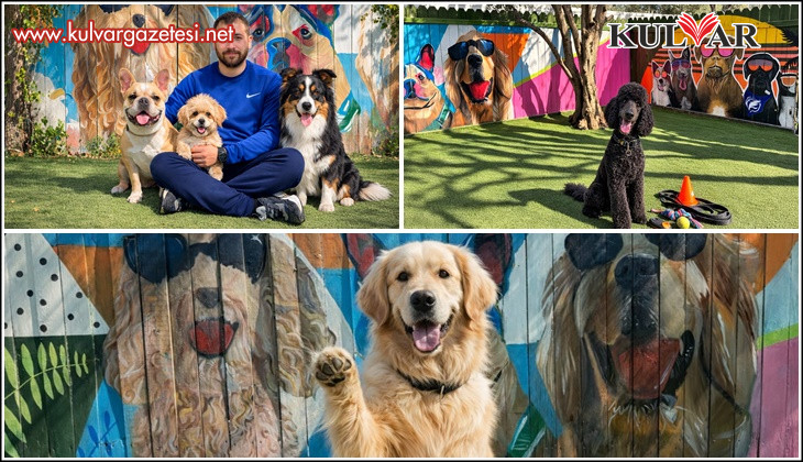 Köpek Otellerinde Bayram Yoğunluğu: Denizli’de İlgi Her Geçen Gün Artıyor