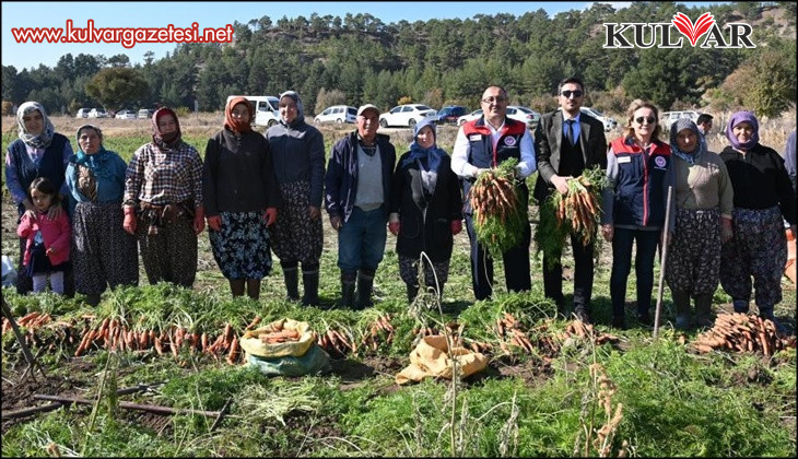 Lezzetiyle meşhur Çakır havucunda hasat başladı