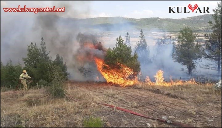 Makilik alanda çıkan yangın kontrol altına alındı