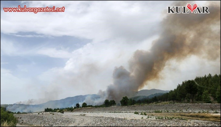Muğla sınırında başlayan orman yangını Denizli'ye sıçradı