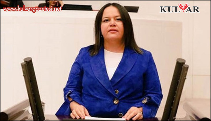 NİLGÜN ÖK, ENERJİ VE TABİİ KAYNAKLAR BAKANLIĞI’NIN 2026 BÜTÇESİ ÜZERİNE KONUŞTU