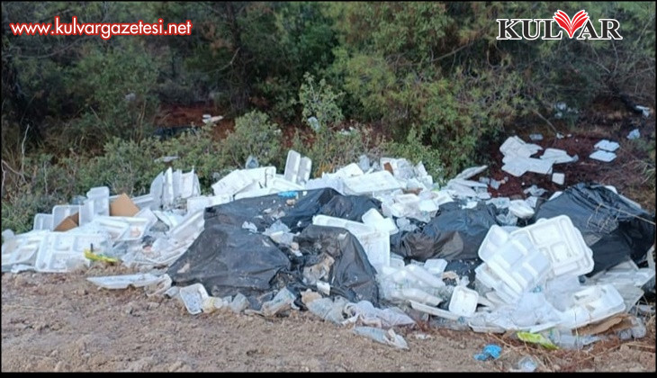 Ormanı çöplük yaptılar