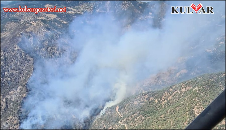 Ot temizlemek isterken ormanı yakan 3 şüpheli gözaltına alındı