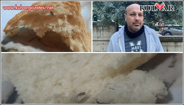 Pamukkale Halk Ekmek'in içerisinden çıkan fare dışkısı ve un kurdu yeni doğum yapan anneyi sütten kesti