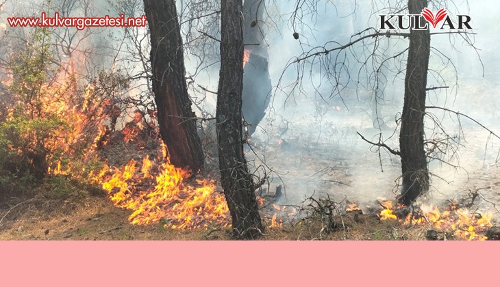  Pamukkale'de 1 günde 2 orman yangını