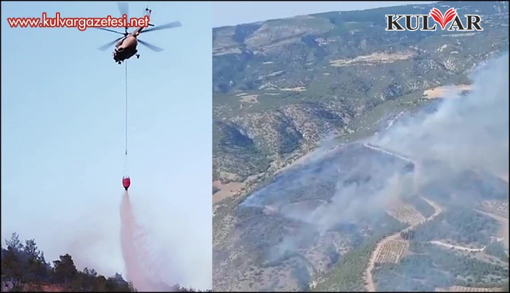 Pamukkale'deki orman yangınında 35 hektar alan zarar gördü