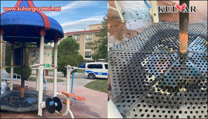 Parkta oynayan çocuklar oyuncağı ateşe verdi