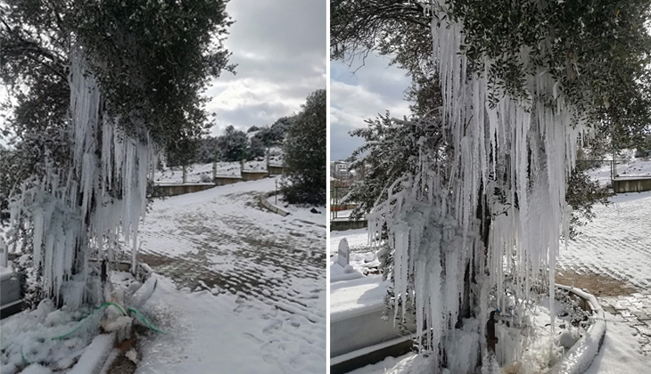 Patlayan çeşme ağaçta buz sarkıtları oluşturdu