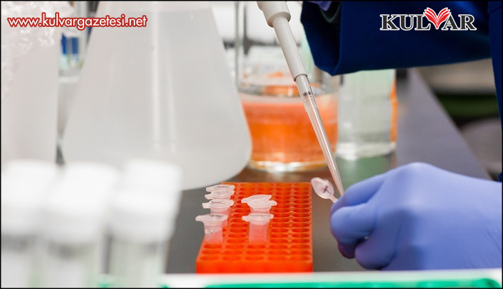 Sahte alkol testi şebekesine operasyon; 42 gözaltı