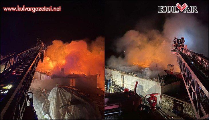 Sarayköy'de alevler iş yerini kullanılamaz hale getirdi