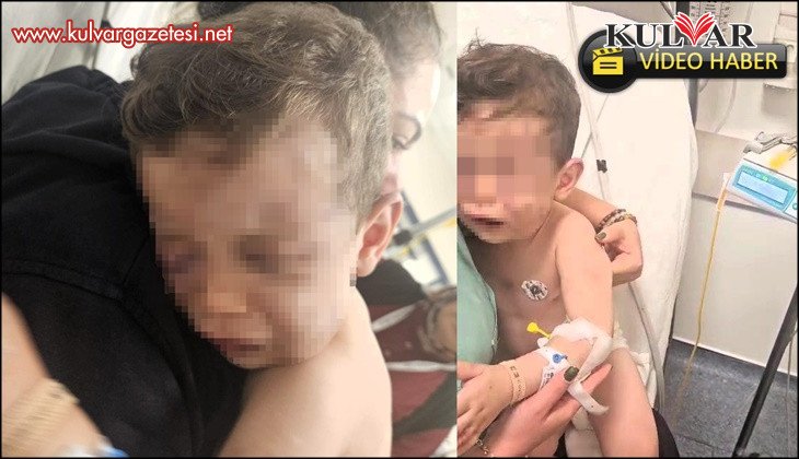 Sarayköy'de Aren bebeği hastanelik eden cani hakim karşısına çıkıyor