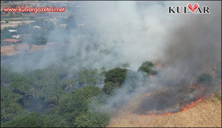 Sarayköy'deki Örtü yangını ormana sıçramadan söndürüldü