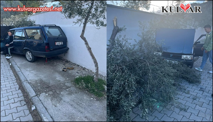 Süratli otomobil önce ağaca sonra duvara çarptı