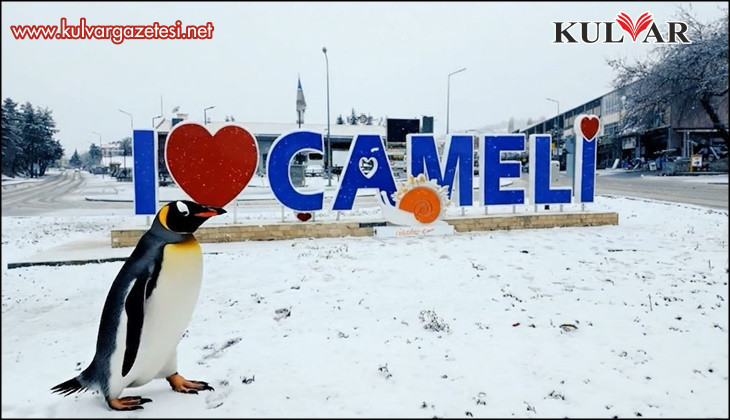 Sürüden ayrılan nihilist penguen Çameli'ye uğradı
