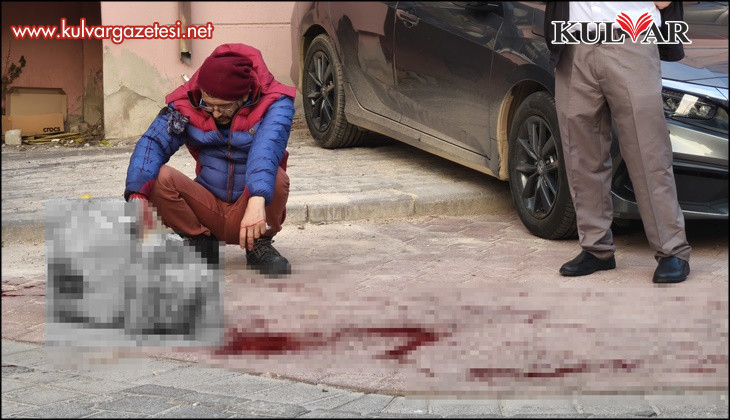 Tartıştığı ağabeyini sokak ortasında bıçaklayıp evine döndü